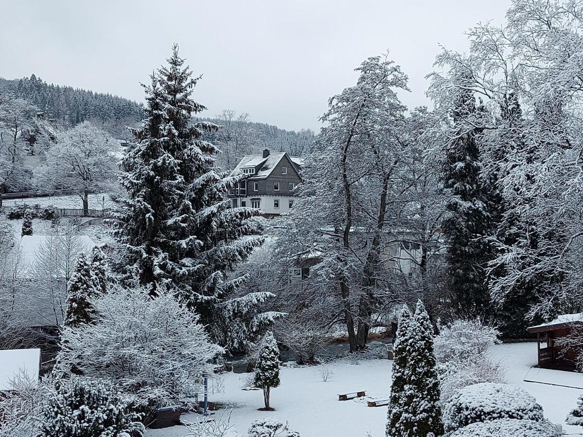 Maries Bunte Villa Bad Berleburg Εξωτερικό φωτογραφία