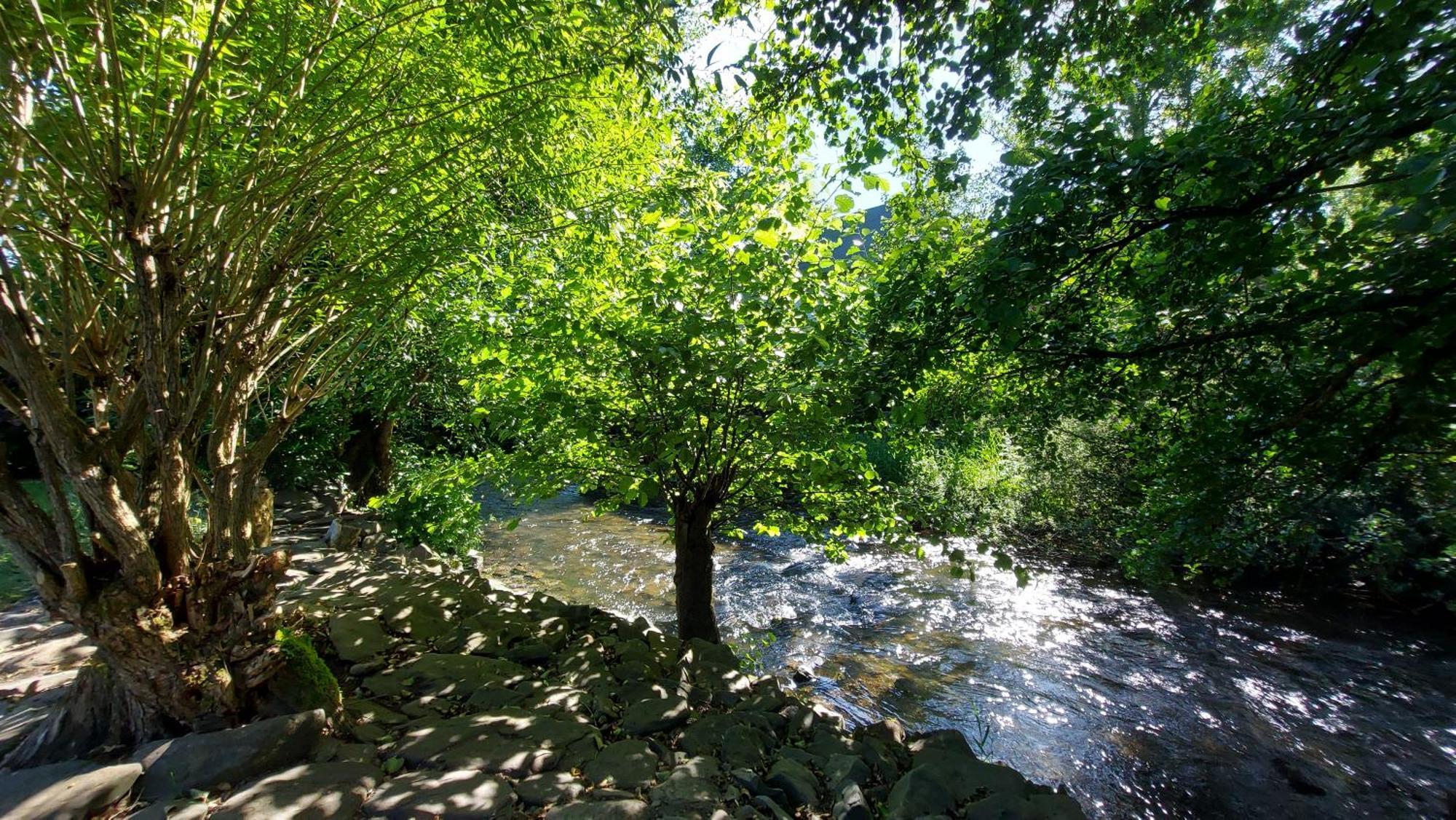Maries Bunte Villa Bad Berleburg Εξωτερικό φωτογραφία
